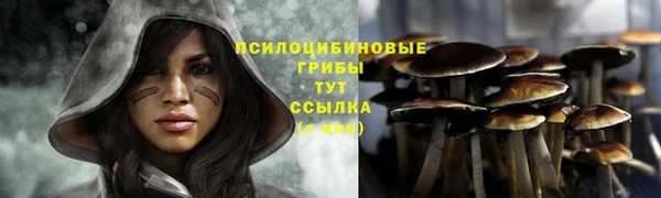 винт Алексин